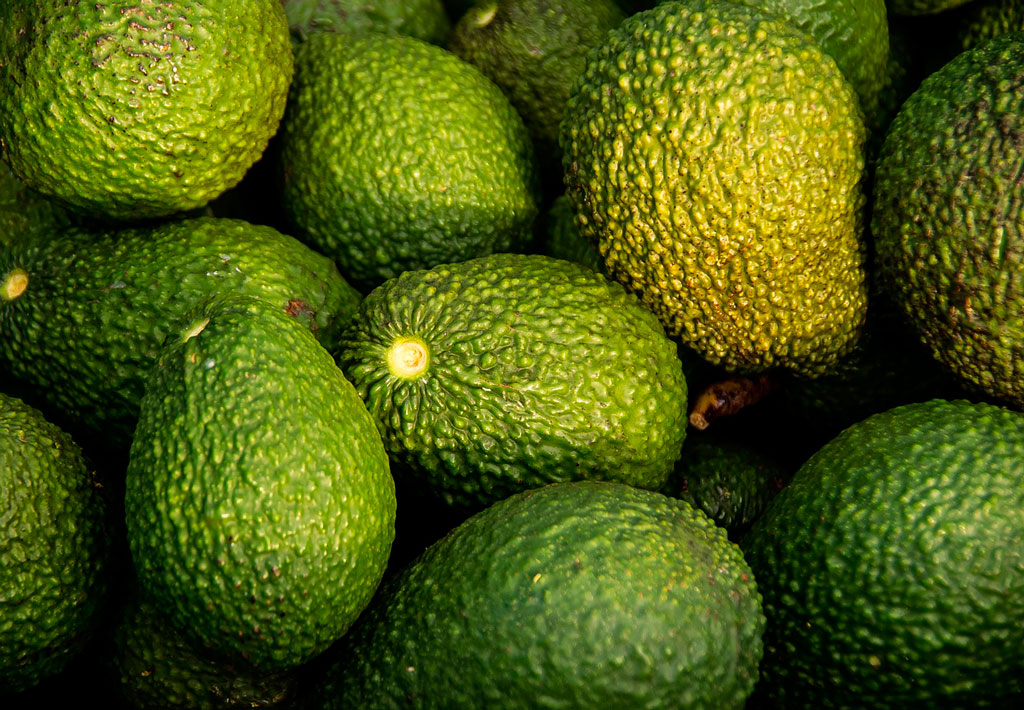 muchos aguacates frescos