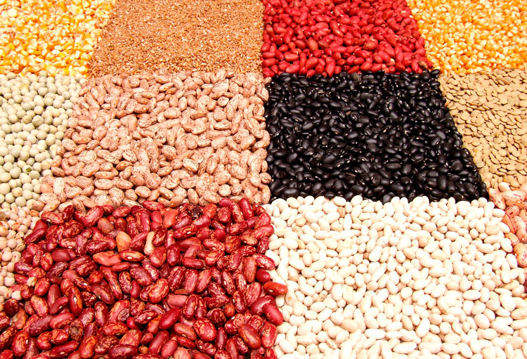 diferentes tipos de legumbres regadas