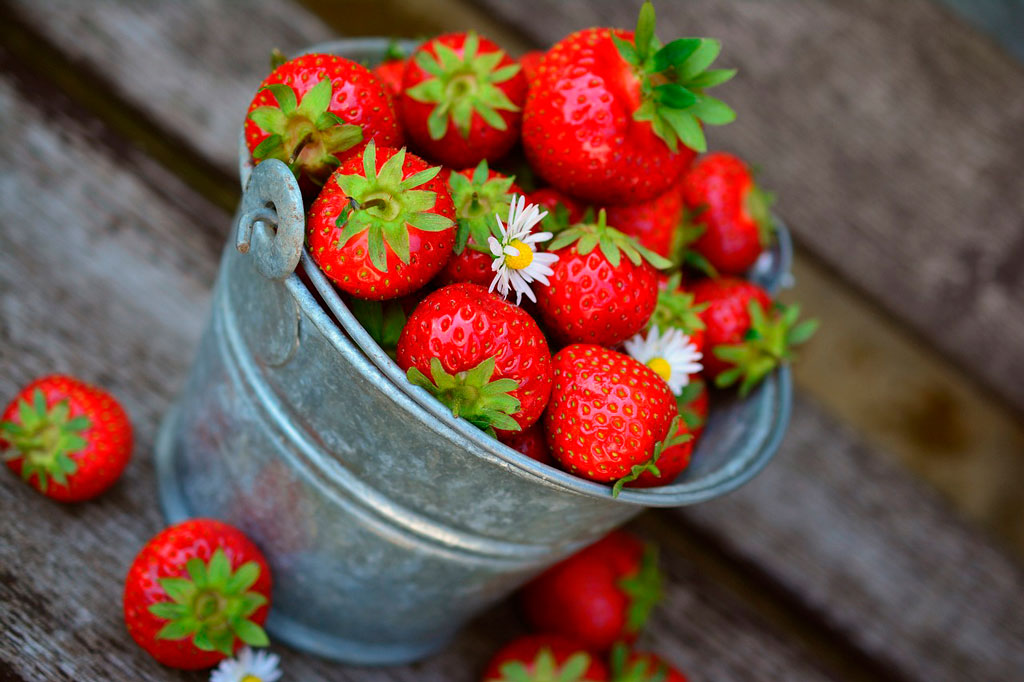 fresas frescas dentro de una cubeta